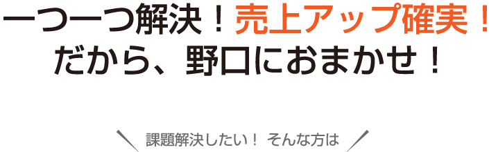 一つ一つ解決！売上アップ確実！だから、野口におまかせ！課題解決したい！ そんな方は